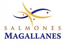 Salmones Magallanes